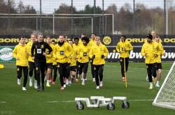 开云体育官网-关于多特蒙德主场战胜弗赖堡，球队状态回暖的信息