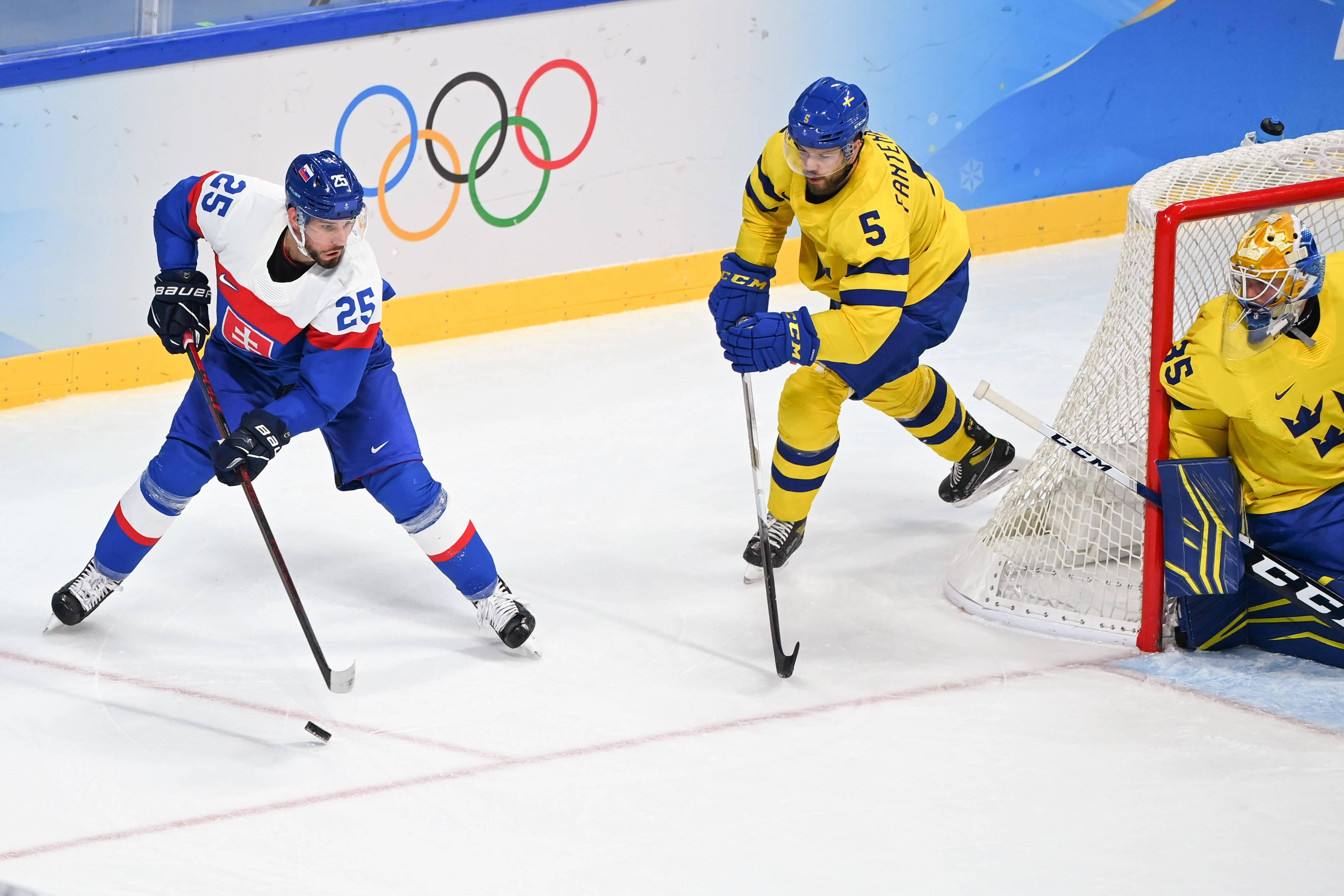 瑞典队完胜波兰队，波尔关键制胜的简单介绍